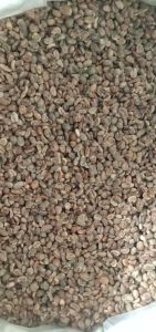 Greenbean Aceh Gayo Comersil 1kg