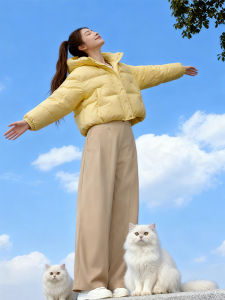 Shalldoer | Hooded Short Down Coat High Waist Wide Leg Pants Set