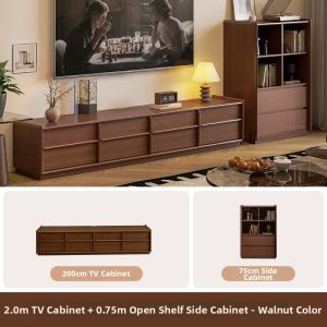 HESHIBOYA | Modern Minimalist TV Cabinet Floor Storage