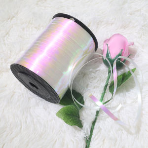 Dây Màu Bóng Bay Dây Màu Ánh Sáng Dây Màu Vàng Dây Màu Bạc Dây Buộc Bóng Bay Cỡ 500 Phụ Kiện Dây Màu Bóng Bay Màu Bạc