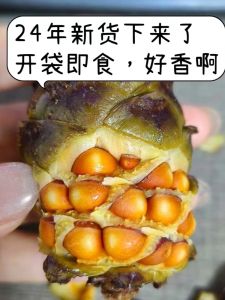 New 2025 Hinggan Lingan Pinecone Salt Water Cooked Pinata Pine Nutty Flavor 500g Snacks/Hazelnuts/Cracked Cones/Dried Fruit