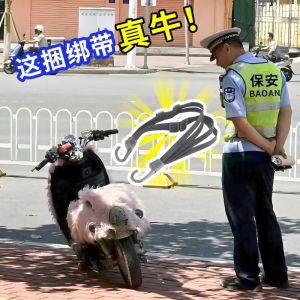 Dây Đai Xe Máy Co Giãn Dây Đai Xe Điện Dây Đai Cố Định Mũ Bảo Hiểm Dây Đai Hành Lý Deda A12133 Phụ Kiện Xe Đạp