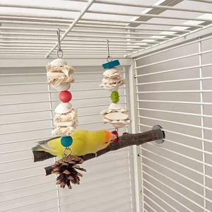 🇸🇬 Parrot Chew Toy Cuttlefish Bone Chew Toys For Pet Budgie