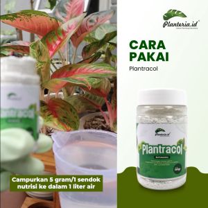 Plantracol Biofungisida Alami 150 gram