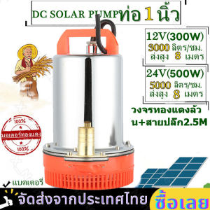 มีสต็อกพร้อมส่งจากไทย สแตนเลส ปั๊มจุ่ม 1นิ้ว 12V 300W /24V 500W ไดโว่ เจ้าพระยา แรงดันสู แบตเตอรี่ มอเตอร์ทองแดงแท้ 100%(ไดร์โว่ดูดน้ำ 12v ปั๊มน้ำ 12v เครื่องสูบน้ำ ปั้มน้ำโซล ไม่รวมแผงโซลาร์เซลล์และคลิป