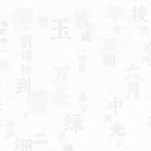 TOP TOY Nanci Chinese Poetry Series Blind Box