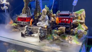 Nhà 1 tầng - Phụ kiện trang trí tiểu cảnh bể cá non bộ sân vườn (NS003)