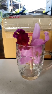 แก้วเบียร์OHARASใบใหญ่สูง13cmปากกว้าง9cmคาใบละ