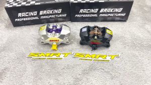 Heo SMRT 2 Pis Pilet Mẫu S01 Lắp Mọi Loại Xe