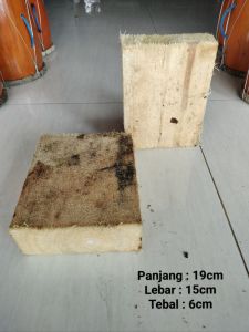 Bahan baku ganongan/kayu dadap cangkring/Bonus hidung ganong