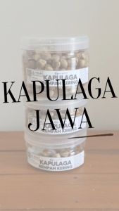 Kapulaga - Rempah Kering by Jamu Gendul 88