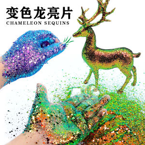12g/bag Hexagonal Chameleon Nail Art Glitter 12Colors For Choice Scallion Powder Nail Art and Creative Crafts DIY Nails Sequins
