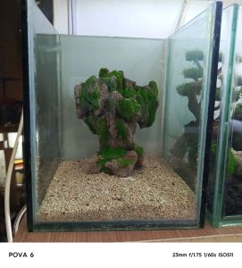 aquascape mini size 15x15x20cm