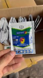 Nativo trừ thán thư sương mai hiệu quả Nativo 750WG – Gói 6 gram Bayer