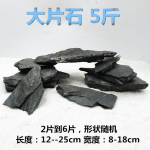 Turtle Jar Climbing Pet Insect Drying Table Drying Back Piece Stone Rock Schist Landscape Piece Rock Decorative Stone Combination Is Rockery Stone