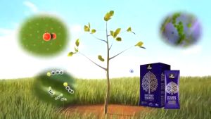 4Tree(โฟร์ทรี) 1 ซอง ใช้ได้ 15-20 ไร่ ของแท้ 100 % สารเสริมประสิทธิภาพ พืชโตเร็ว ใช้ได้กับพืชทุกชนิด พร้อมส่ง ส่งฟรีเก็บเงินปลายทาง