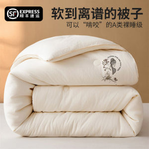Soybean Fiber Quilt Inner Student Dormitory Quilt Quilt for Spring and Autumn Double Extra Thick Winter Quilt Airable Cover All Year Round Neutral