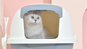 Combo 2 nhà vệ sinh cao cấp vòm lớn 1 cửa bật khép kín cho mèo - Tặng kèm xẻng siêu lớn