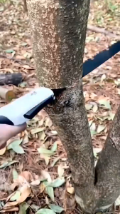 Gergaji Kayu Lipat Gergaji Lipat Portabel Folding Wood Hand Saw 300mm Ringan Dan Mudah Dibawa