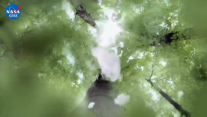 NASA GISS เสื้อยืดหญิงชาย สไตล์ยอดนิยม เสื้อ summer OK gooseพิมพ์ลาย ผ้าฝ้ายแท้ ทรงหลวม NASA เหมาะสำหรับเยาวชน