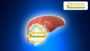 ULTIMATE LACTIVATE อัลติเมท แล็คทิเวท เม็ดฟู่บำรุงปอดและตับ ไม่มีน้ำตาล จำนวน 3 แถม 2 กล่อง