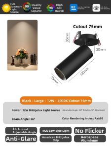 HUOQI | Adjustable Angle Ambient Lighting Spot Light Full Spectrum