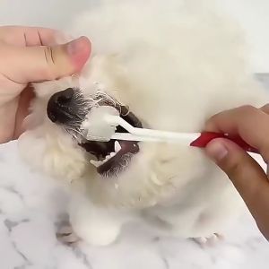 Dog Toothbrush Pet Supplies Dogs Tooth Brush 3 Sided Pet Toothbrush