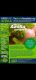 Clarisa Dalao Bergonio