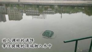 Collapsible fishing trap 5/9/13Porous Cast Net Portable Fish Trap Foldable Fishing Cage Suitable For Eel Shrimp Crayfish