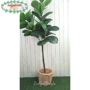 Pohon Hias Tanaman Artificial Ketapang X3 T140 Latex Cover Anyaman Rotan Bulat Hiasan Rumah Aesthetic