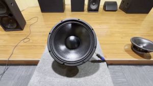 Padon 15 inch dual magnet mid low frequency professional speaker. 8Ω 1000w 100 cores