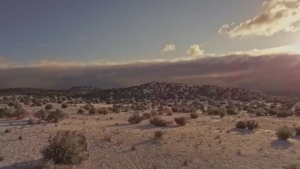 SKIN1004 Madagascar Centella Probio-Cica Intensive Ampoule 95ml หมักมอบความชุ่มชื้น ผ่อนคลาย ช่วยกระชับผิว EXP:2027