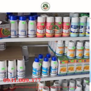 COMBO 2 lon Phân bón Bio 36 Plus siêu ra rễ kích đọt đâm chồi