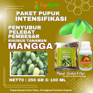 Pupuk Pohon Mangga Berbuah / Pupuk Pembesar Pohon Mangga / Pupuk Cair Untuk Pohon Mangga / Pupuk Penyubur Pohon Mangga