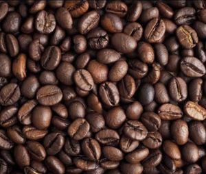 BIJI KOPI ROASTING 280 Gram