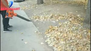 Máy Thổi Lá Giá Tốt Tháng 8/2023 ( Booyoung EB260)