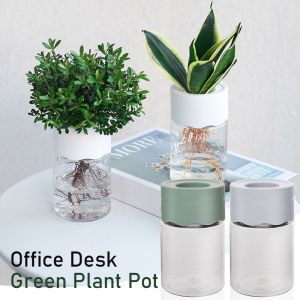 Trong suốt nhỏ hoa thủy canh nồi cây xanh nồi văn phòng nhà cửa bàn xanh trang trí