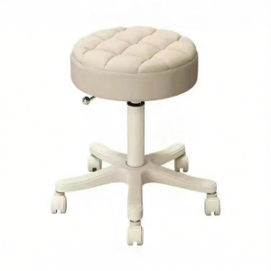 Adjustable Rotating Chair With Wheels And Backrest Beauty Salon Equipment