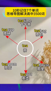 初中高中 英语提分攻略 单词 语法 作文 思维导图 串记单词 图表结合 背记方便