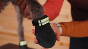 Ruffwear Summit Trex Boots Shoes for Dogs