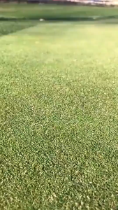 50PCS หมุดปักผ้าคลุมดิน หมุดตัวU หมุดยึดผ้าคลุมวัชพืช เหล็กยึดผ้าคลุมดิน หมุดเสียบผ้าคลุมดิน