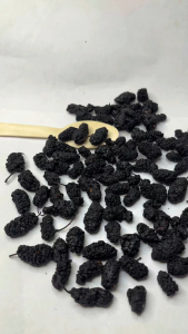 Wholesale 250g 500g 1kg dried mulberry tea