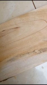 papan kayu mahoni panjang 2 meter lebar 20 cm tebal 1 cm