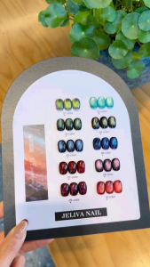 JELIVA 10 สี ชุดยาทาเล็บเจล (J3) เจลตาแมว เจลด้านซาติน ลูกแก้วอินทรีย์ ด้วยแผนภูมิสีสำเร็จรูป