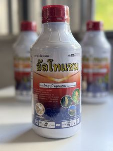 ไทอะมีทอกแซม 24% SC (ยาเย็น)  กำจัด เพลี้ยไฟ ไก่แจ้ เพลี้ยหอย เพลี้ยไฟนาข้าว หนอนเจาะใบข้าว  หนอน แมลง  ขนาด1ลิตร