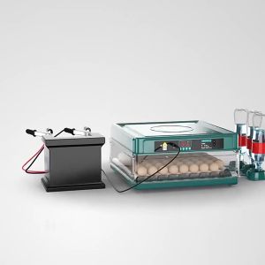 Egg Automatic Digital Incubator 220V/12V  Dual Power Egg Incubator 12/24/48/64/130 Intelligent Digital Hatcher Brooder with Temperature Control and Auto Turning for Hatching Chicken Duck Goose Quail Birds Incubators for Farm