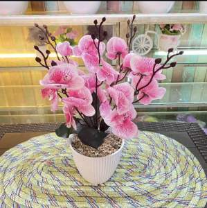 BUNGA HIAS / ARTIFISIAL ANGREK CABANG 5 SET POT KERANG