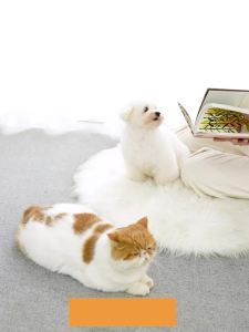 Alas Ais Haiwan Peliharaan Alas Tidur Musim Panas Tahan Gigitan Tikar Sejuk Sarang Ais Kucing Pad Penyejuk Musim Panas Khas Alas Ais Anjing