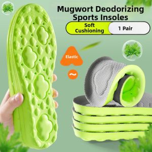 SHIPIFENG | Shock Absorption Breathable Longstanding Comfort Soft Sweat Absorption Odor Prevention Insoles