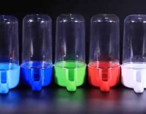 Bình đựng nước và thức ăn tự động cho chim Vẹt gắn chuồng (mẫu mới) - Hara Pet Store